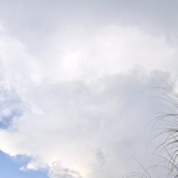 ほとんど雲に覆われた青空