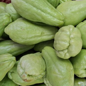 新鮮なハヤトウリの野菜