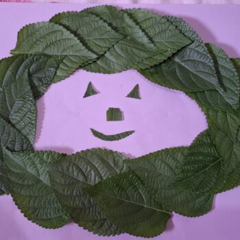幸せな緑の葉