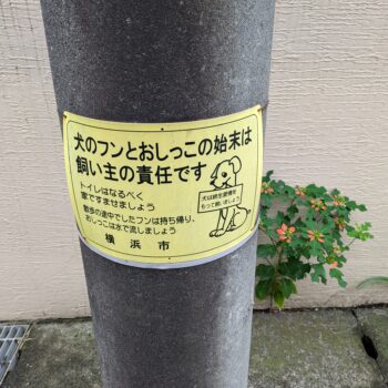電柱に貼ってある犬のフンとおしっこの始末のプレート