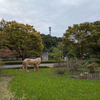 遠くにライオンの模型がたっている公園