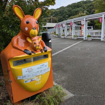 斜めから写したカンガルーのポスト
