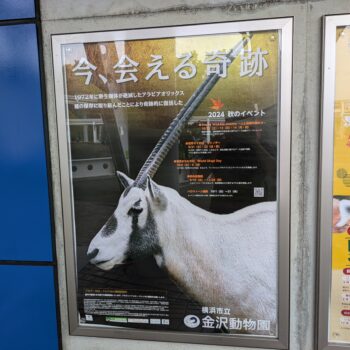 横浜市立金沢動物園の貼り紙