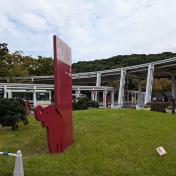ズーラシアの芝生