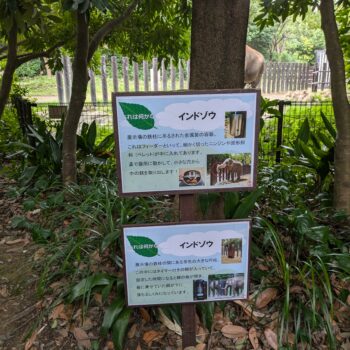 インドゾウの説明プレート