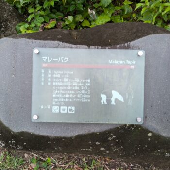 マレーバクの説明プレート