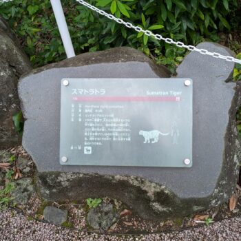 スマトラトラの説明プレート