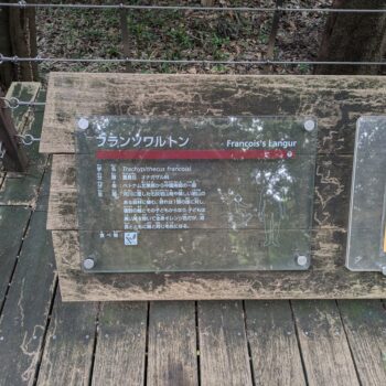フランソワルトンの説明プレート