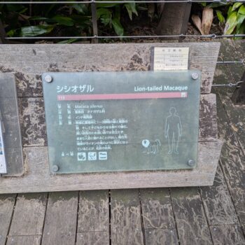シシオザルの説明プレート
