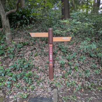 アジアの熱帯林の道案内ガイド