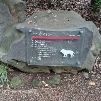 インドライオンの説明プレート