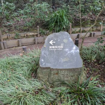 小岩に書いてある亜寒帯の森の案内