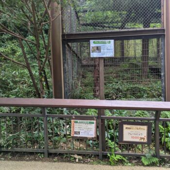 とっておきタイムのアムールヒュウの看板