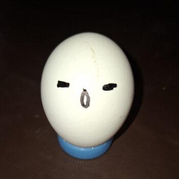 口をとがらせた卵 1 つ