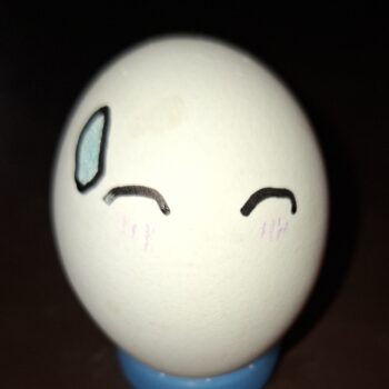 何も分からない卵1個