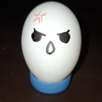 怒った卵