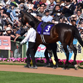 キタサンブラック